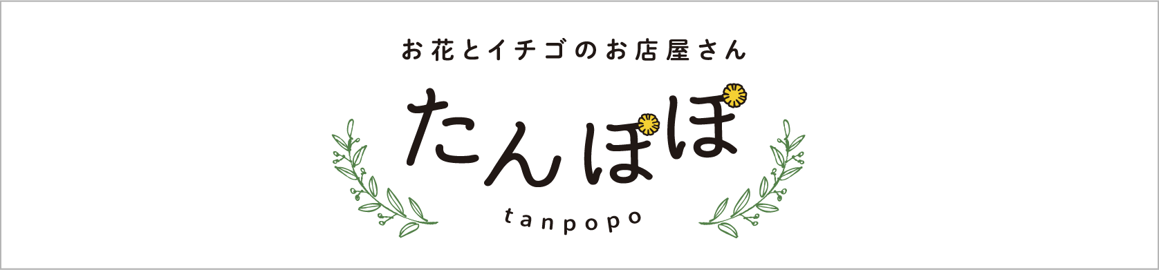 たんぽぽ